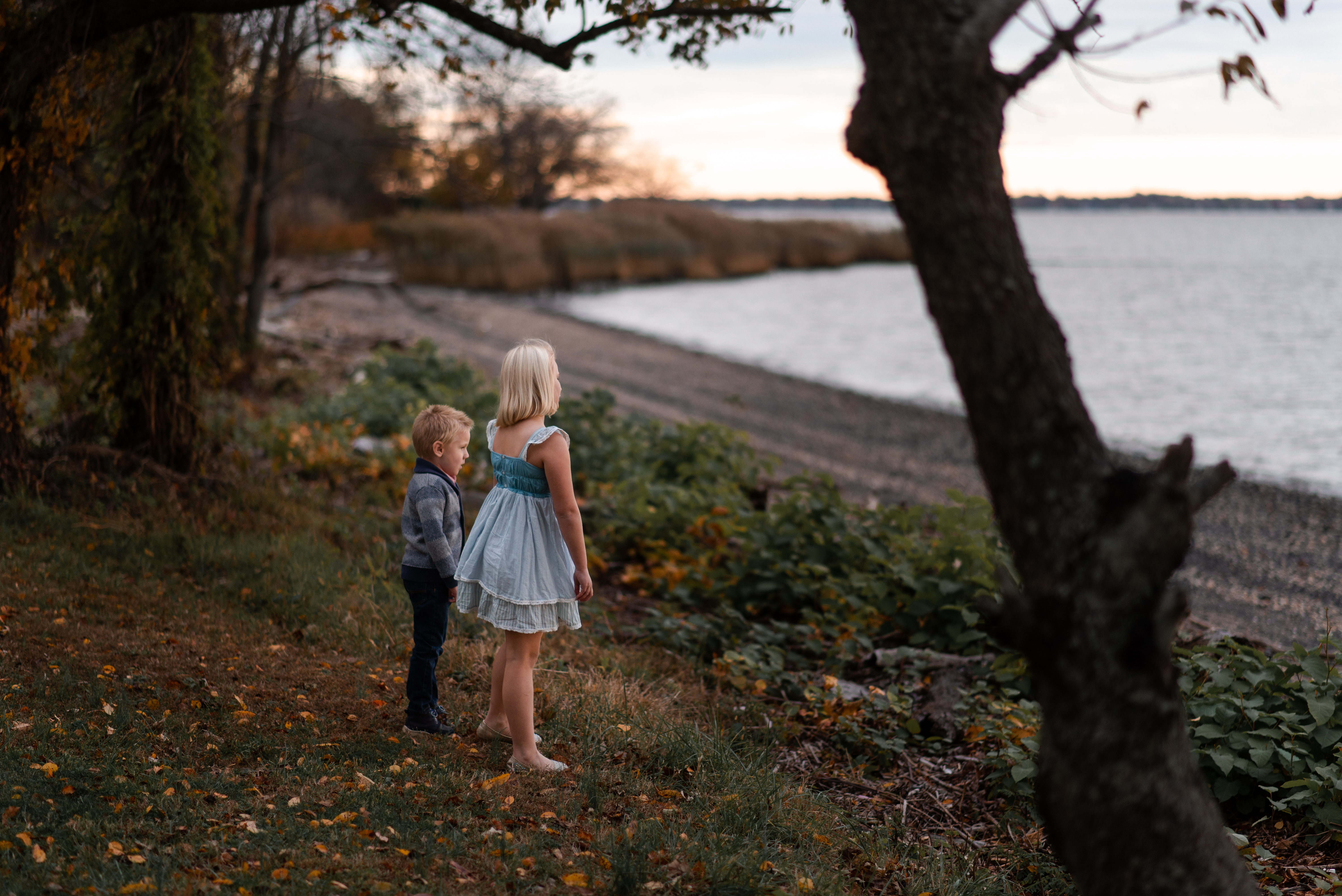 Well Dressed Wolf Session | New Castle, Delaware