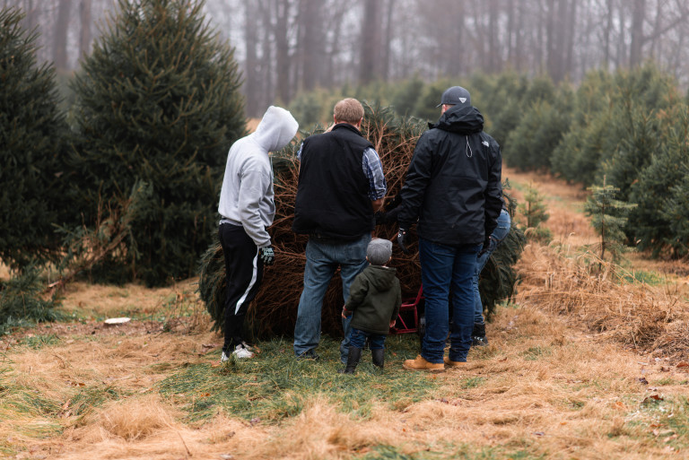 20181202_SchmidtsTreeFarm_46